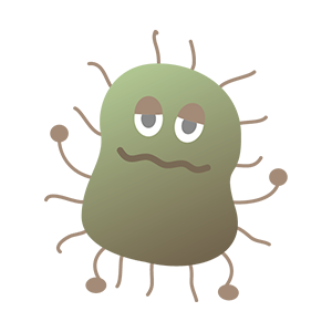 その細胞内に細菌やウイルスを取り込み、タンパク質を破壊する酵素を用いて細菌やウイルスを攻撃します。